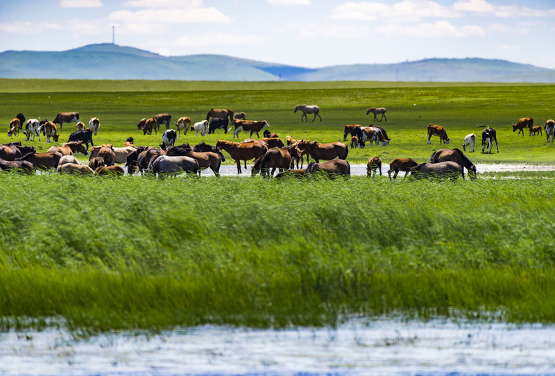 探索内蒙古自然之美——内蒙古之旅🌿🏞️