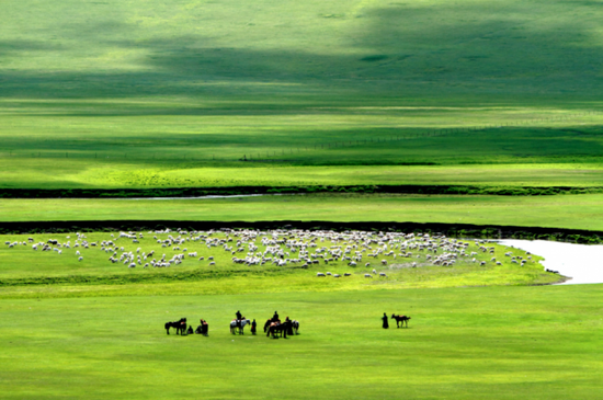 呼伦贝尔草原的深情眷恋